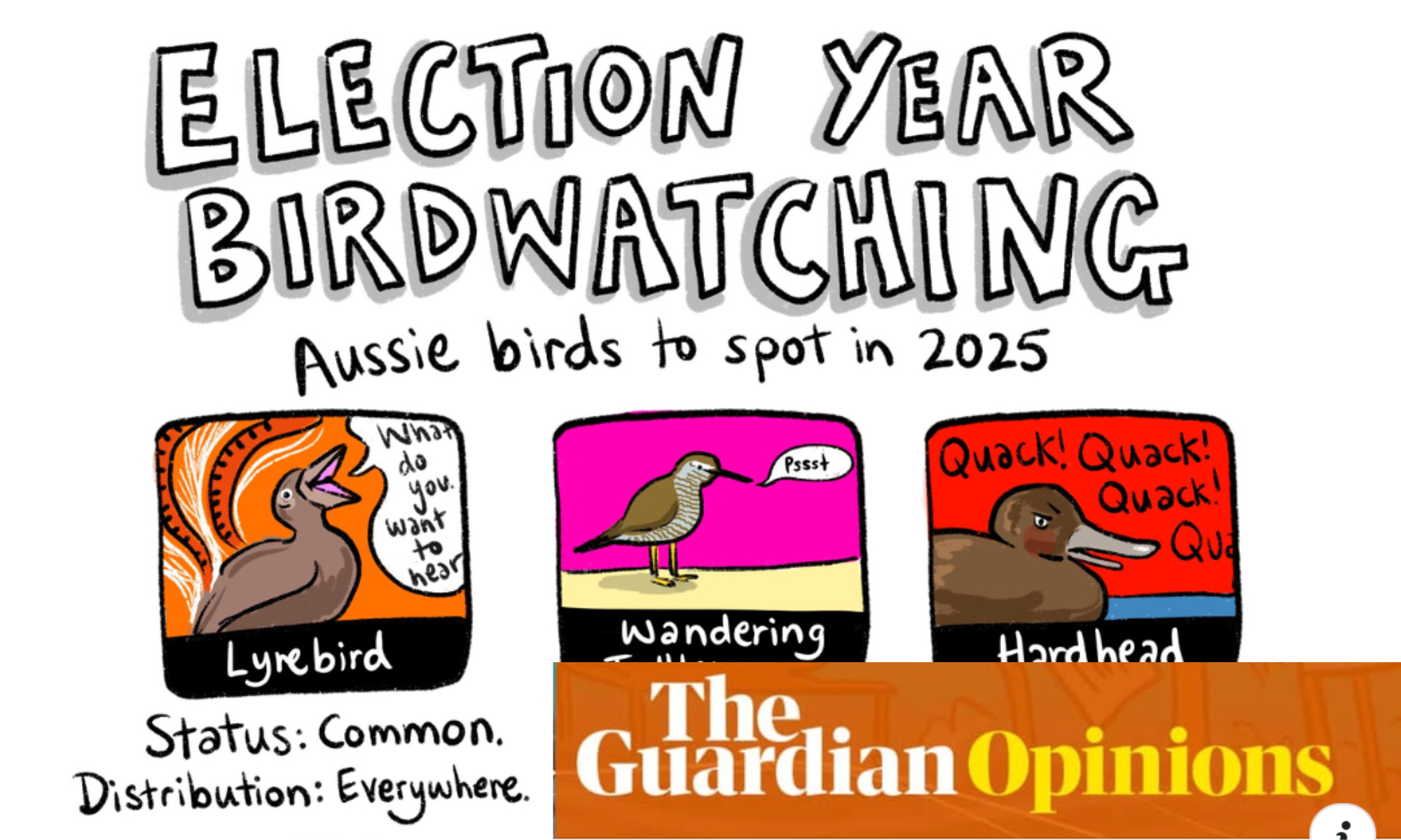 Political birdwatching